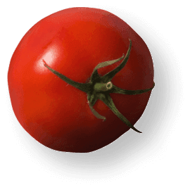 Tomate
